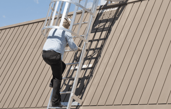 rung ladder, ladder, roof